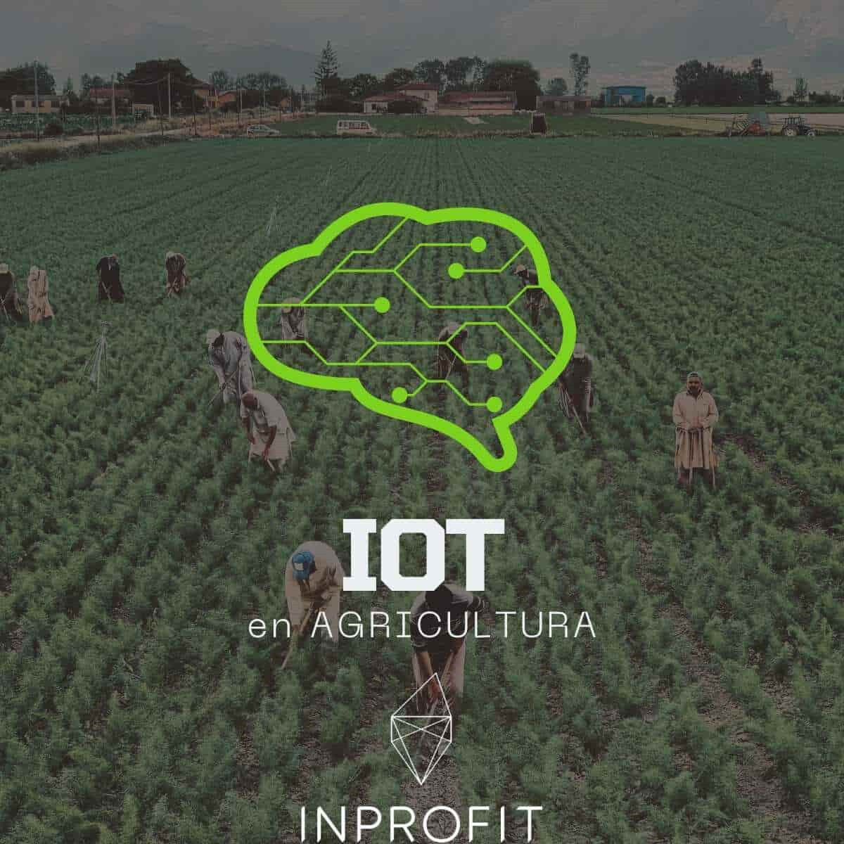 IoT en agricultura: Tecnología para Cultivos inteligentes